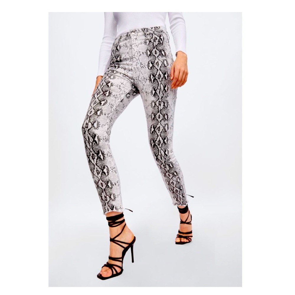 Snake Print Pant